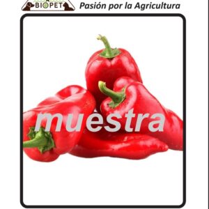 Chile Pimiento sobre