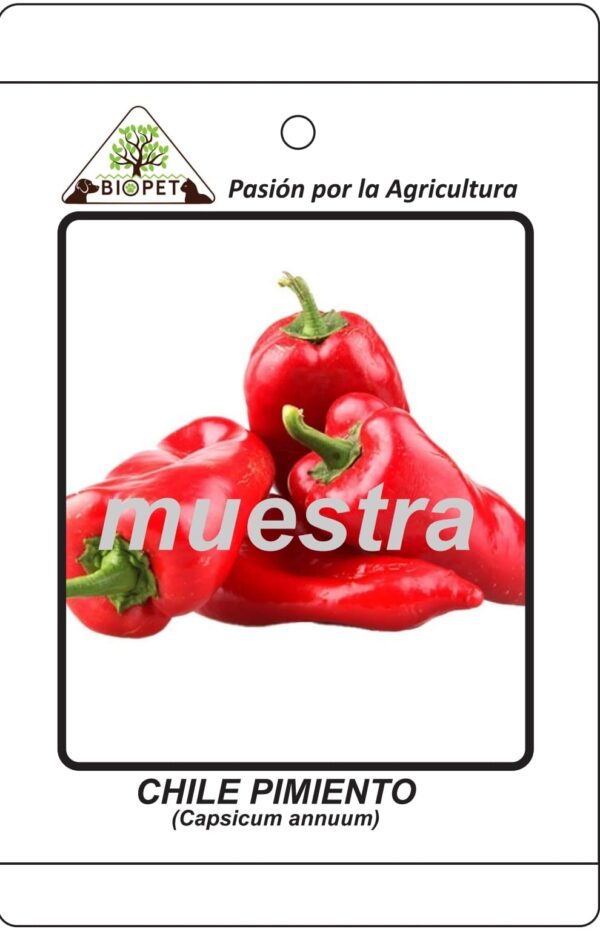Chile Pimiento sobre
