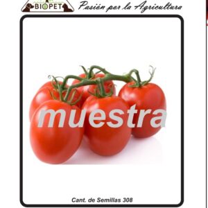 Tomate roma sobre
