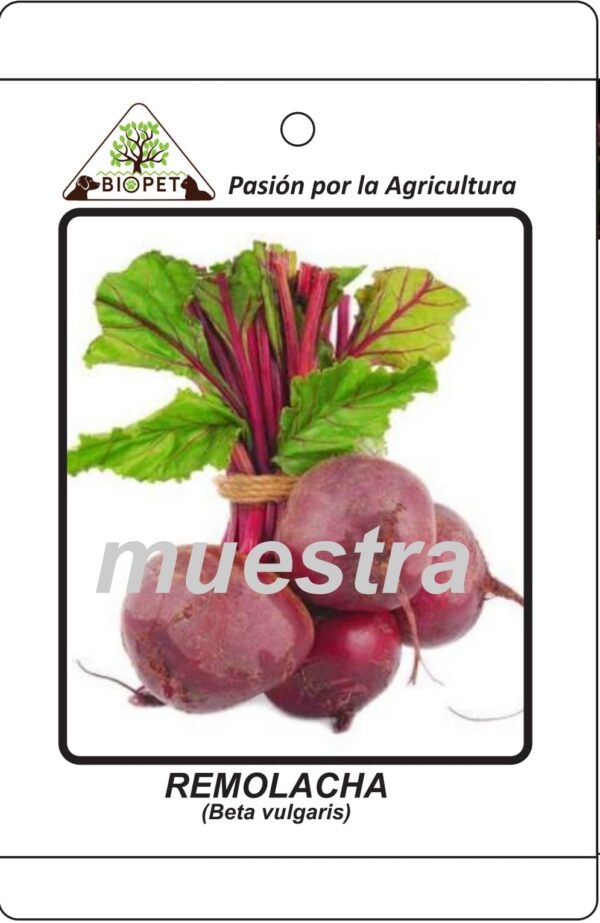 Remolacha sobre