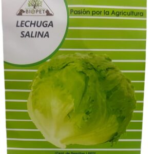 Lechuga Salina sobre