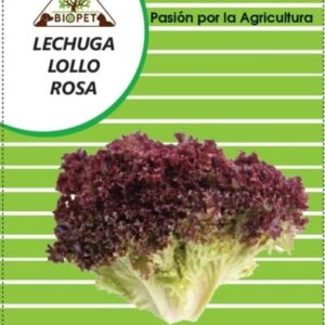 Lechuga Lollo Rosa Sobre
