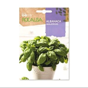 Albahaca