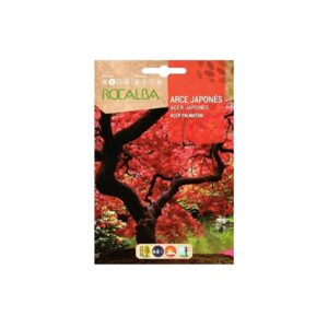Arce Japones