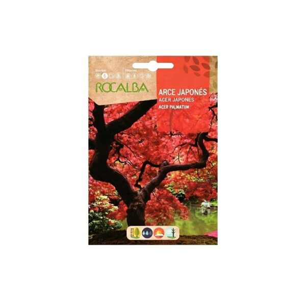 Arce Japones