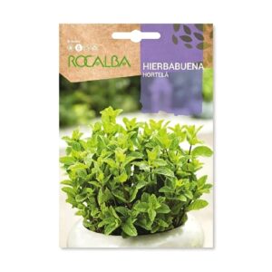 Hierbabuena