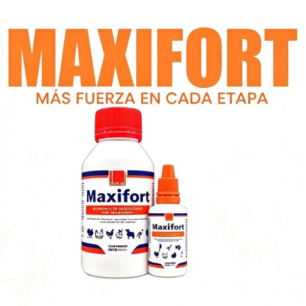 Vitamina Maxifort 25ml
